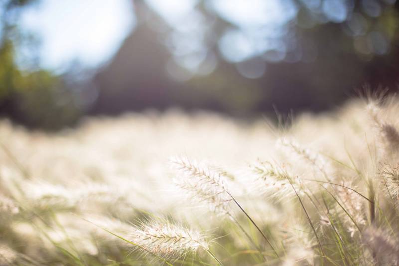 A l'approche de l'été, pensez à faire appel à notre équipe pour l'entretien de votre climatisation