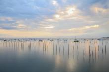 Nos prestations sur le secteur de Biganos proche de Marcheprime