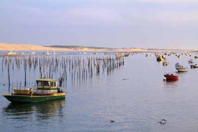 Nos prestations sur le secteur de Mios en Gironde proche Biganos